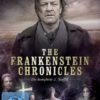 The Frankenstein Chronicles - Die komplette 2. Staffel  [2 DVDs]