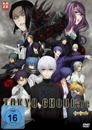 Tokyo Ghoul:re - Gesamtausgabe - Box 2 - Limited Edition mit Sammelbox  [4 DVDs]