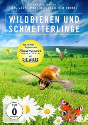 Wildbienen und Schmetterlinge