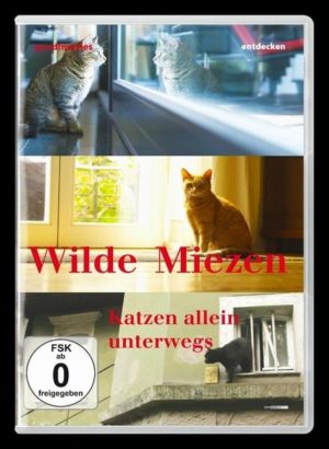 Wilde Miezen - Katzen allein unterwegs