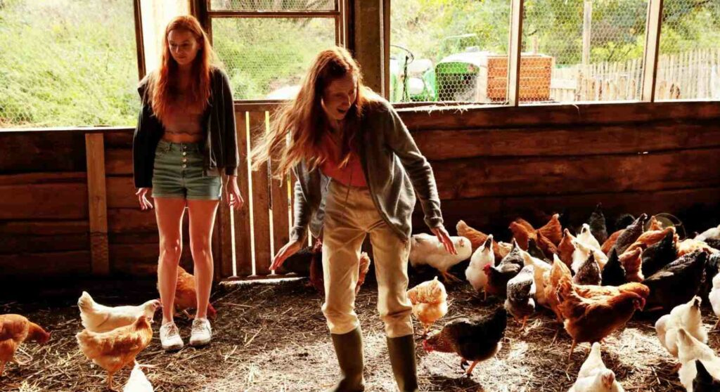 funny birds das gelbe vom ei film 2025