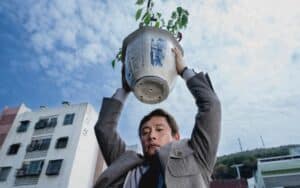 no other choice film 2026